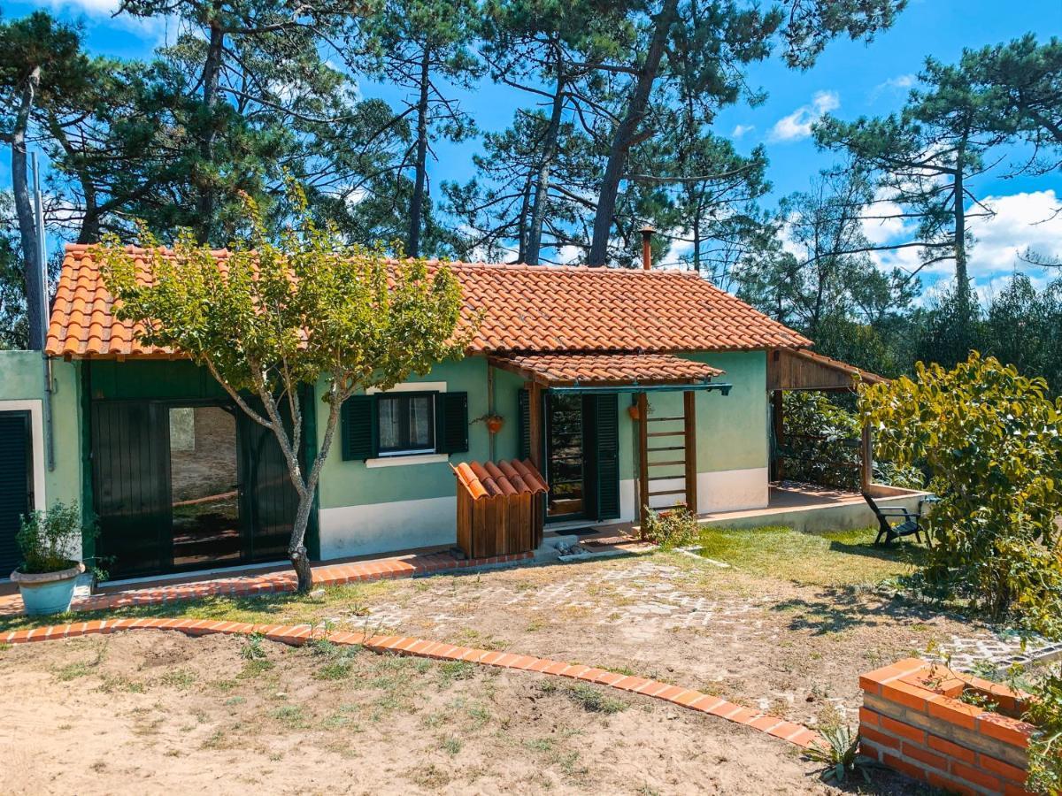 Nadadouro Ecobosque 빌라 외부 사진