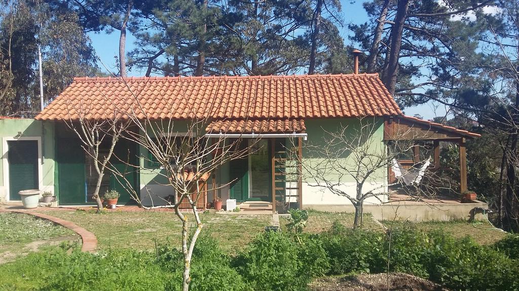 Nadadouro Ecobosque 빌라 외부 사진