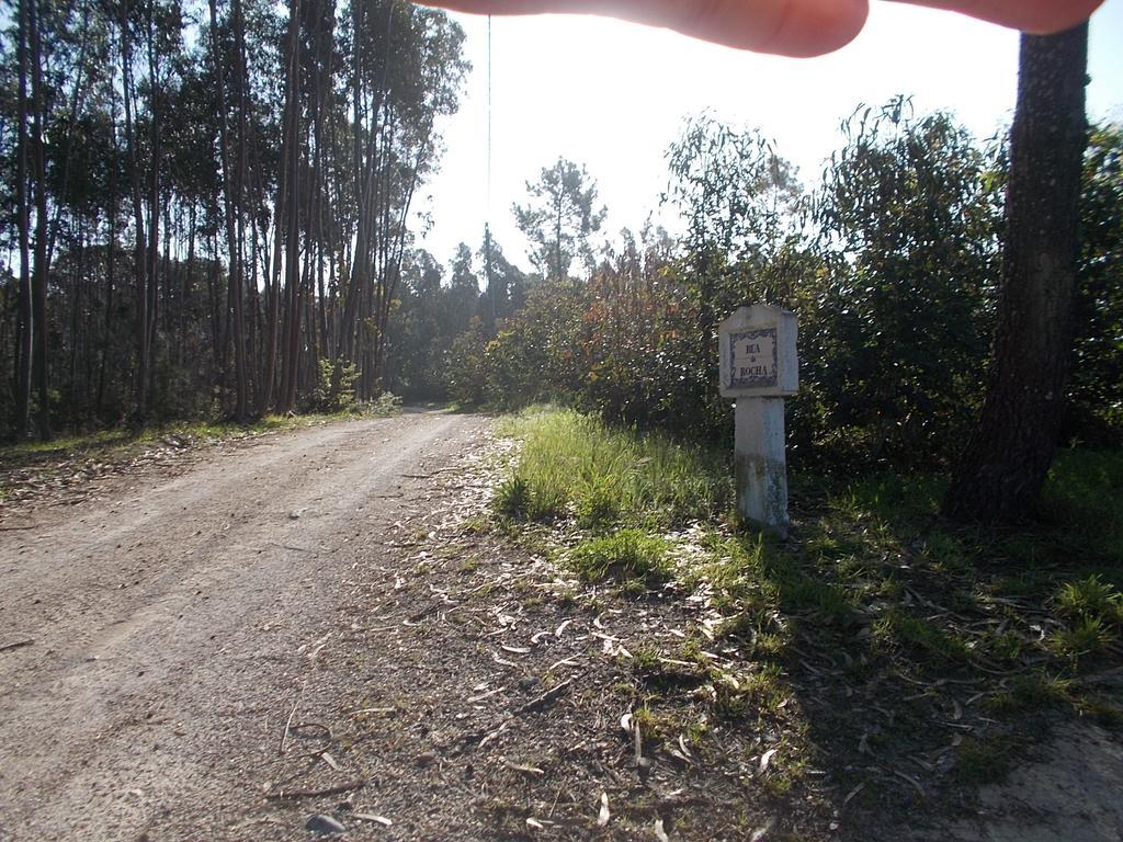 Nadadouro Ecobosque 빌라 외부 사진