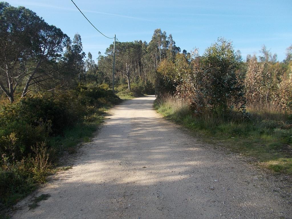 Nadadouro Ecobosque 빌라 외부 사진
