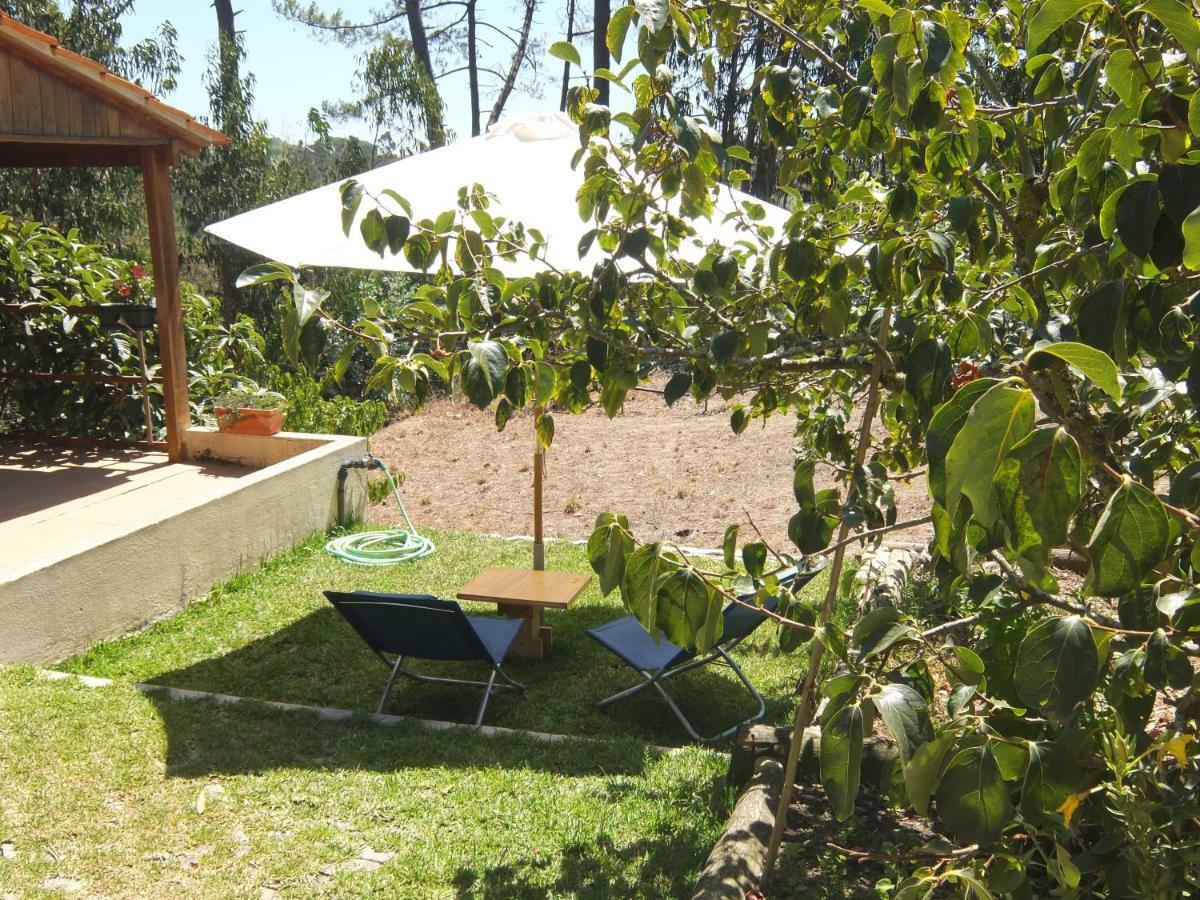 Nadadouro Ecobosque 빌라 외부 사진